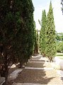 DSC04334