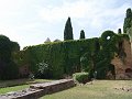 DSC04336