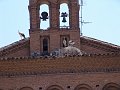 DSC05826