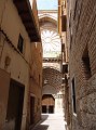 DSC05862a