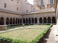 DSC05900