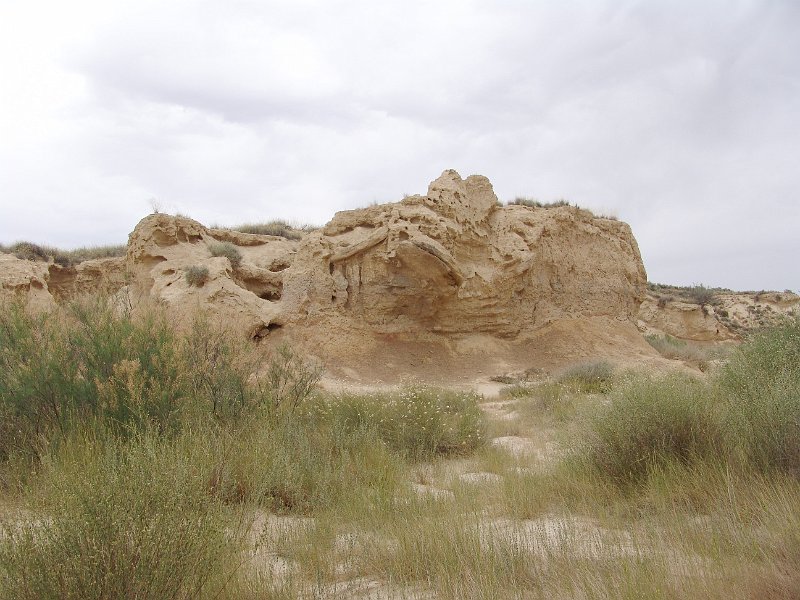 DSC04465.jpg