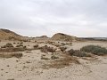 DSC04443C