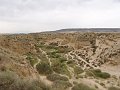 DSC04443E