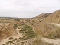 DSC04444