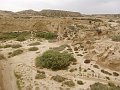 DSC04445