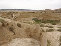 DSC04445A