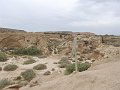 DSC04445C