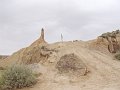 DSC04445D