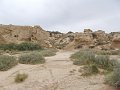 DSC04451