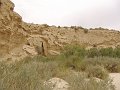 DSC04455