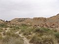 DSC04457