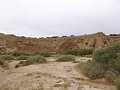 DSC04466