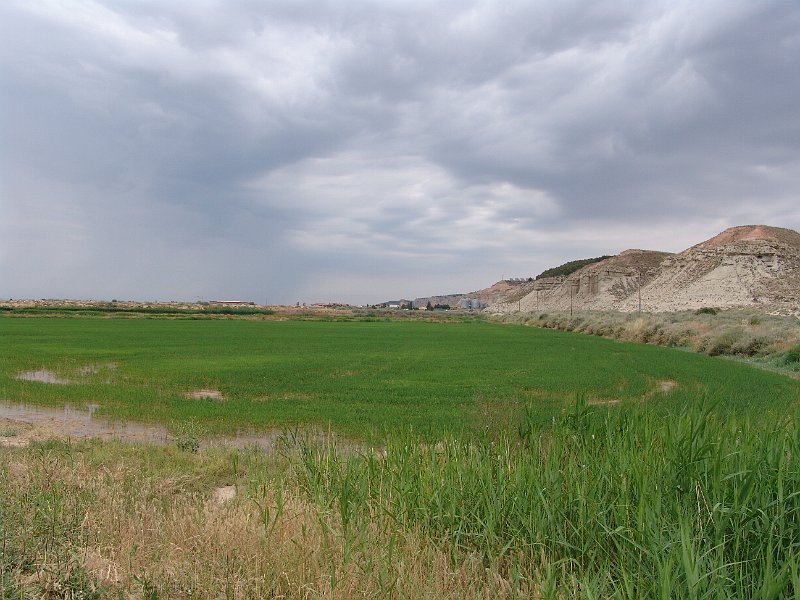 DSC05164.JPG