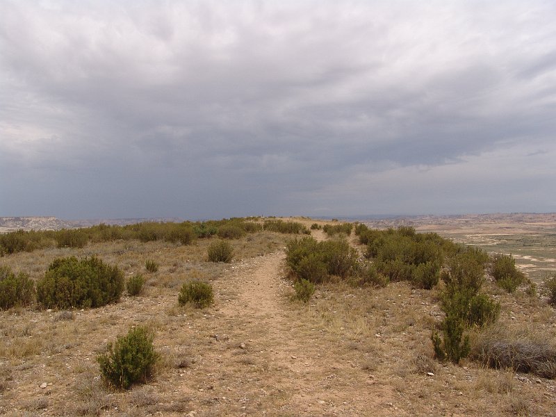 DSC05292.JPG