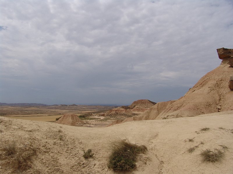 DSC05325.JPG