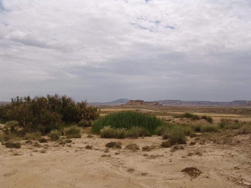 DSC05376.JPG