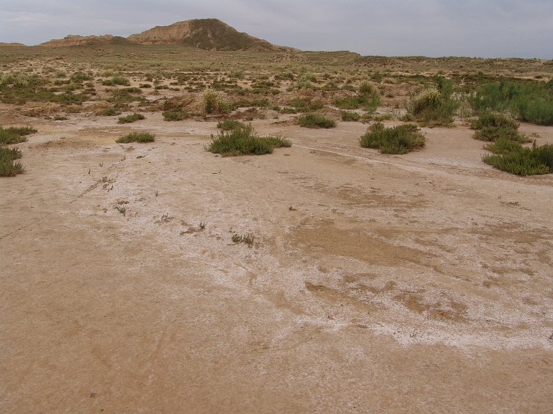 DSC05385.JPG