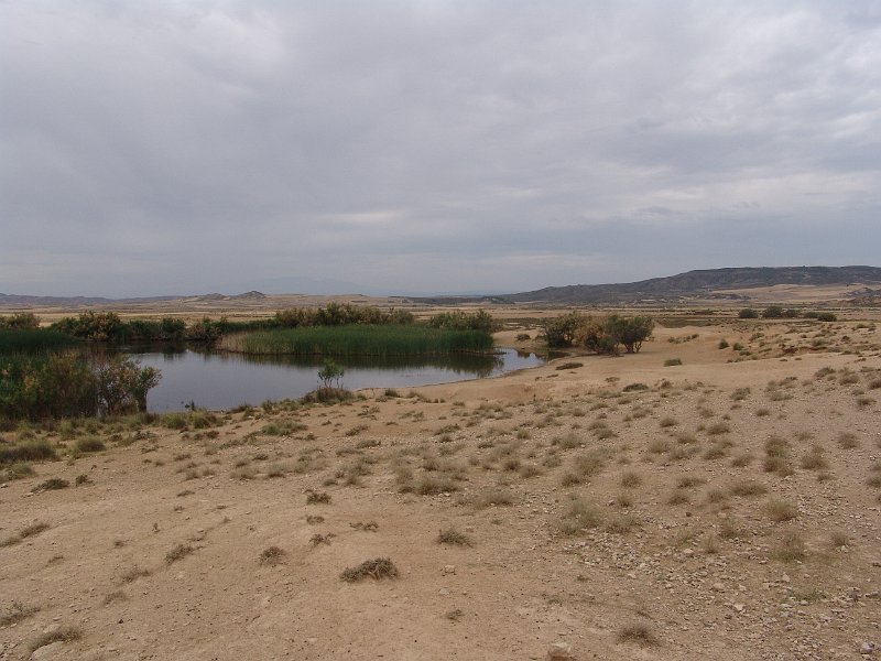 DSC05409.JPG