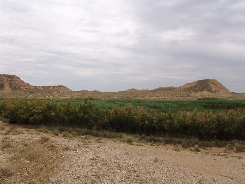 DSC05412.JPG