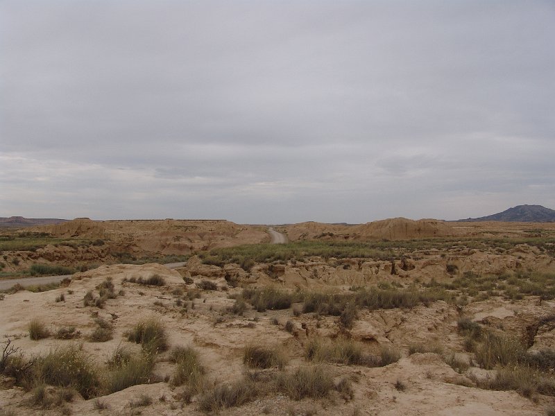 DSC05472.JPG