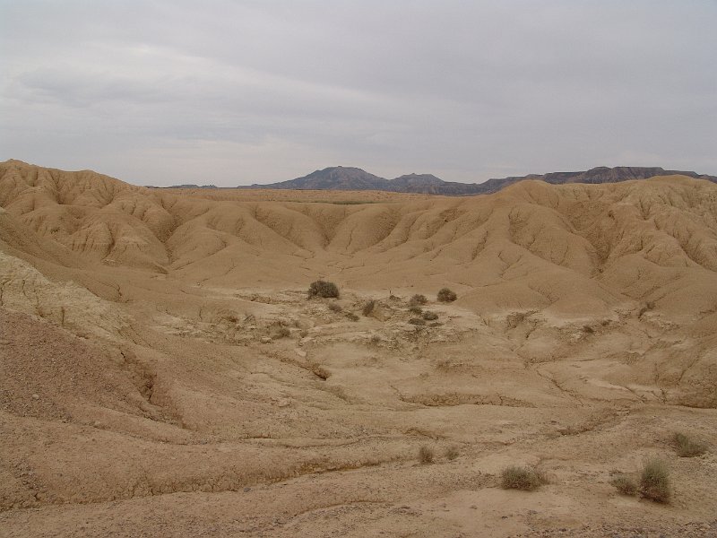 DSC05482.JPG