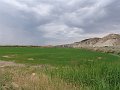 DSC05164