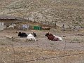 DSC05170