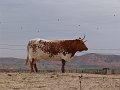 DSC05172