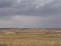 DSC05185