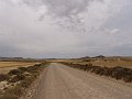 DSC05195