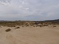 DSC05208