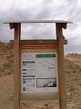 DSC05229