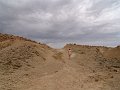 DSC05232