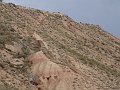 DSC05234