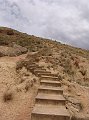 DSC05238