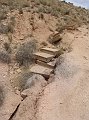 DSC05245