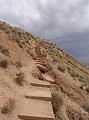 DSC05248