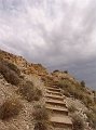 DSC05251