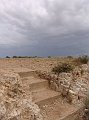 DSC05252