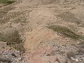 DSC05272