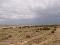 DSC05289