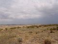 DSC05291