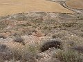 DSC05298