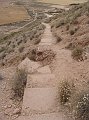 DSC05305