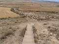 DSC05317