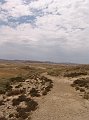 DSC05324