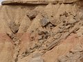 DSC05338