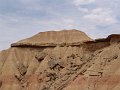 DSC05339