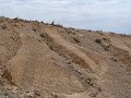 DSC05344